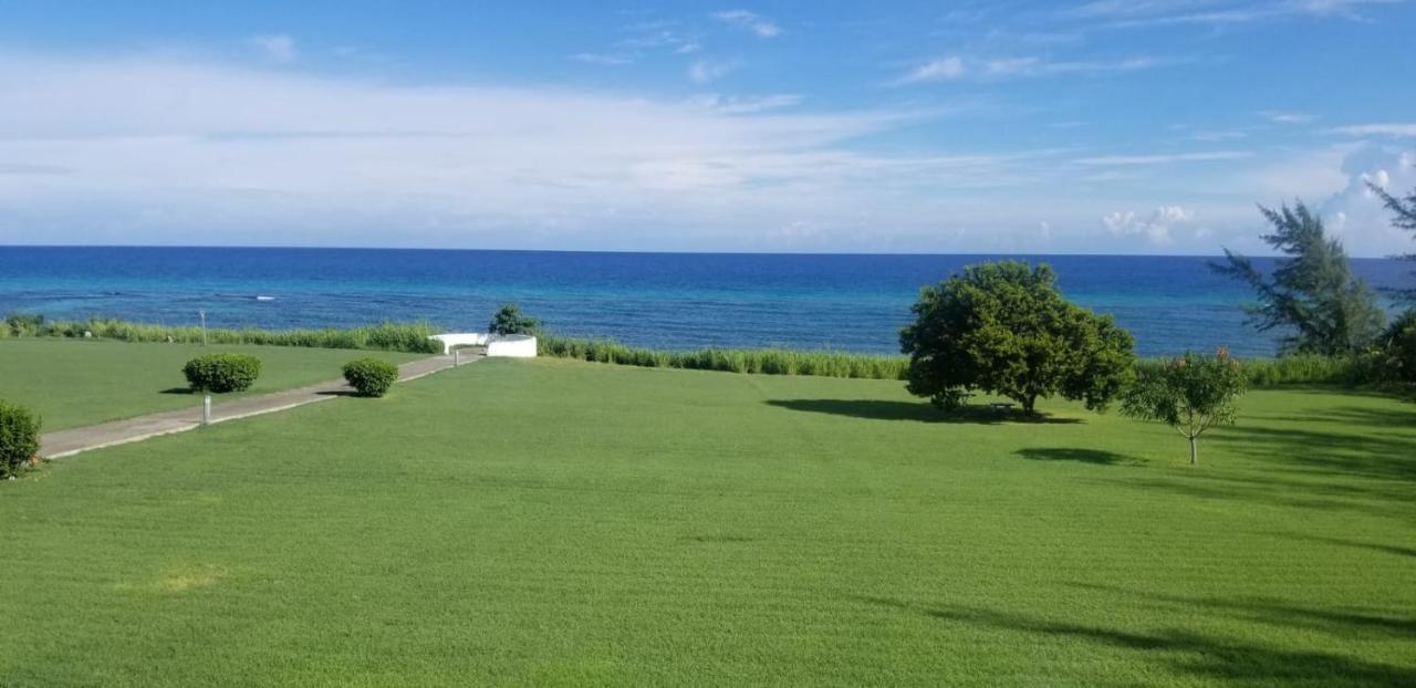C'Daview Apartment Suite Montego Bay Exterior foto
